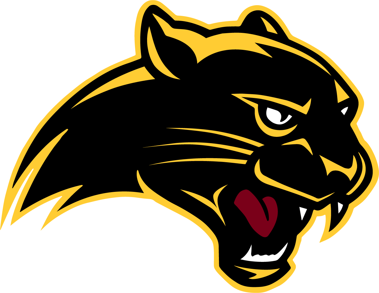 Home Parkers Prairie Public Schools